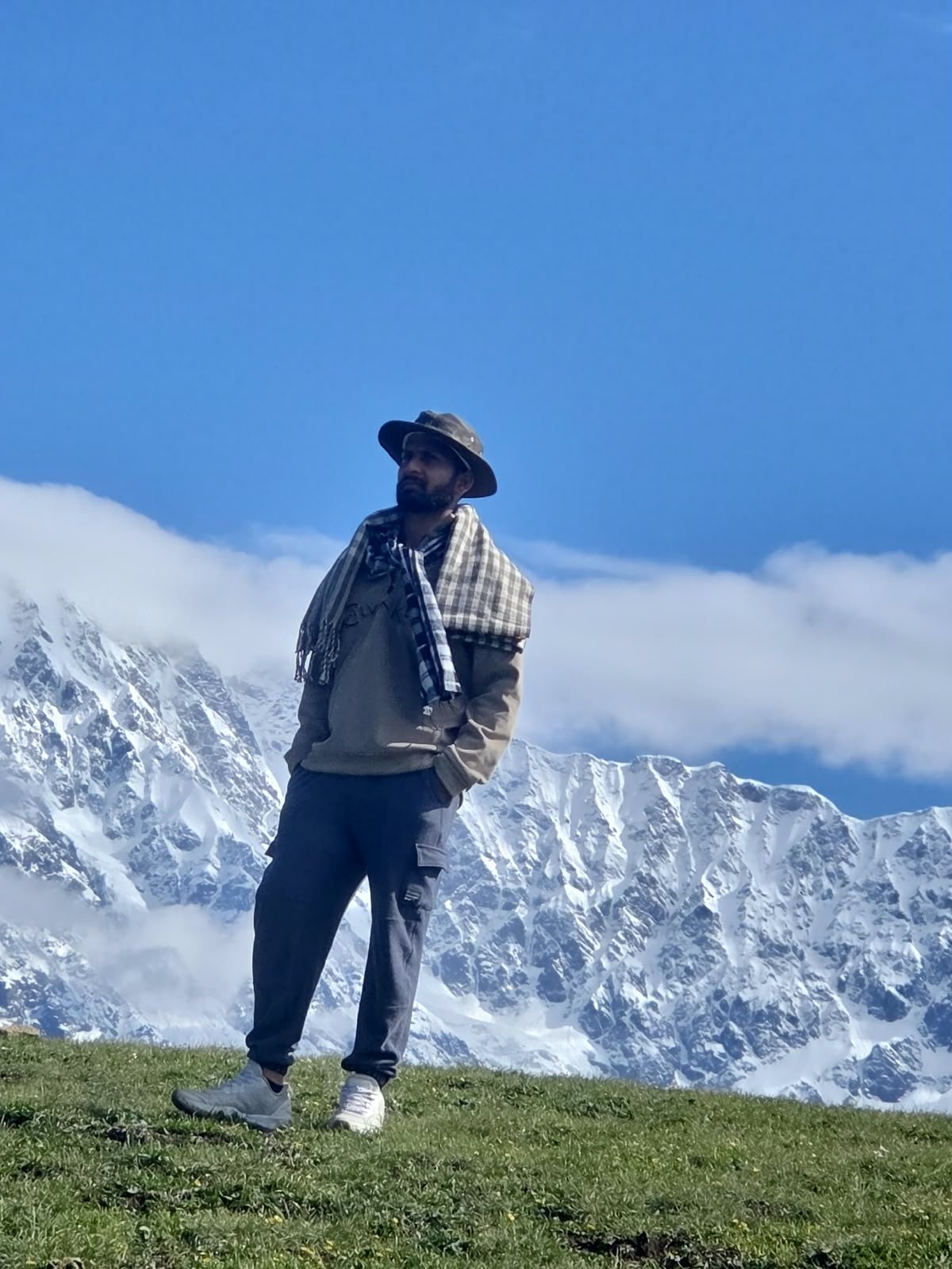 Meadow day below the snowline